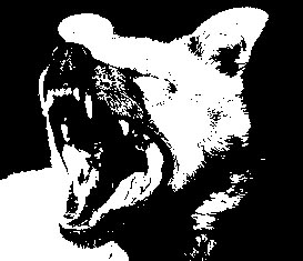 Vicious-dog-image